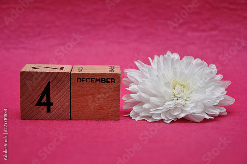 4 December on wooden blocks with a white aster on a pink background
