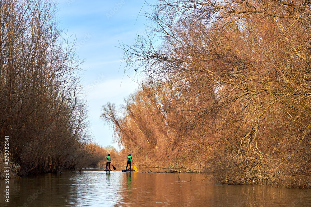 Fototapeta premium Two boys rowing on stand up paddle boarding (SUP) paddling along the calm autumn Danube river at sunset against a background of trees at the shore. The concept of children's sports and tourism.