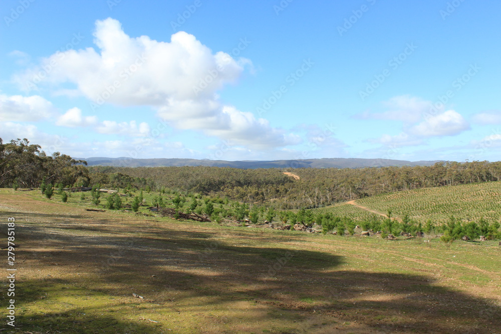 landscape with road and clouds