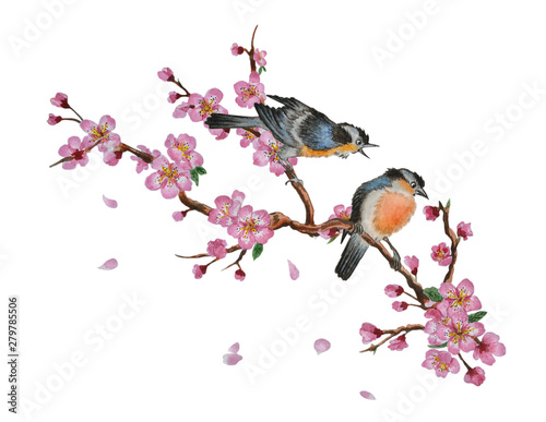 Watercolor traditional Chinese painting of flowers, cherry blossom and two birds on tree, isolated on white background. Can be used as romantic background for wedding invitations, greeting postcards, 