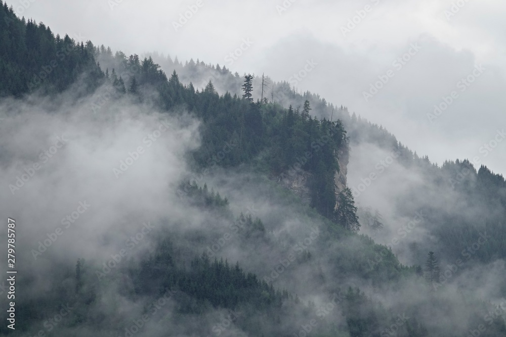 Fototapeta premium rainy day with fog in the forest on the mountains