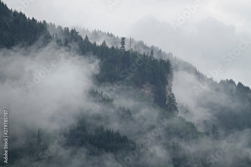 rainy day with fog in the forest on the mountains