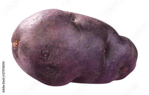 Kartoffel violett photo