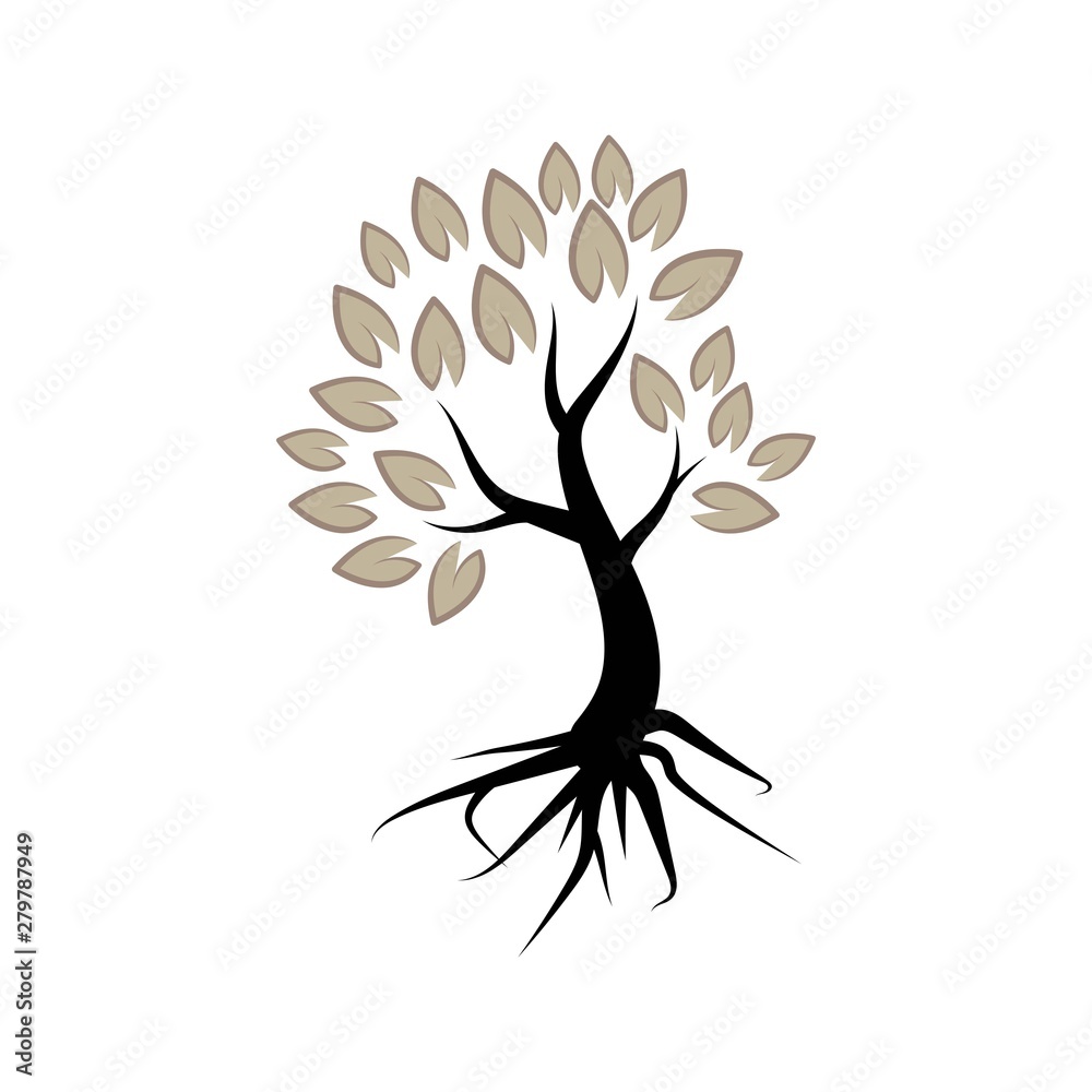 Fototapeta premium Tree logo template vector illustration