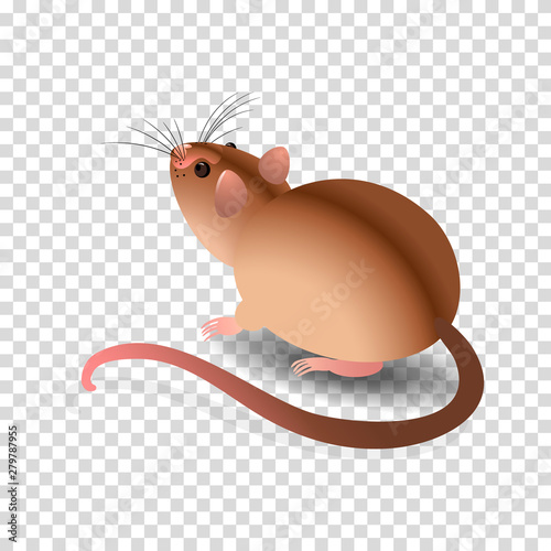 Cute brown mouse on a transparent background.