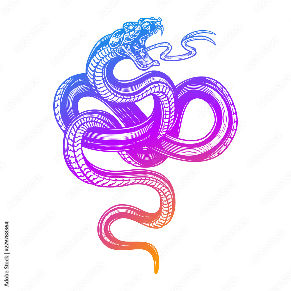 Obraz premium Snake in blurple gradient color. Vector hand drawn illustration of snake in engraving technique isolated on white background. Occult poster, t-shirt print, cover.