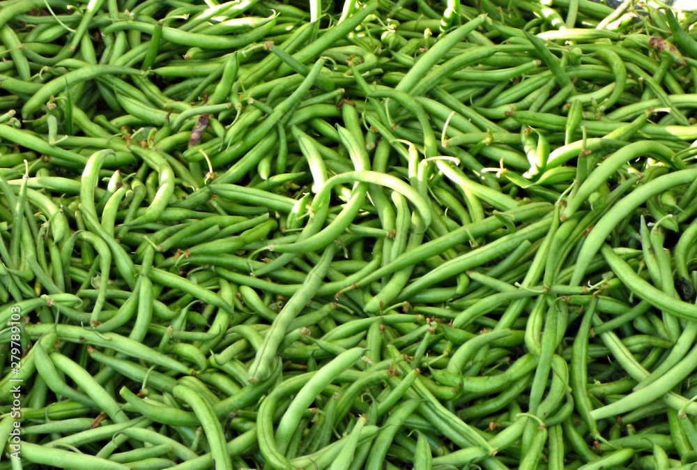 Green beans for sale at the Farmers Market on Cherry Street in Tulsa Oklahoma. Morning in summer on Route 66. Green beans for sale at the Farmers Market on Cherry Street in Tulsa Oklahoma. Morning in summer on Route 66.