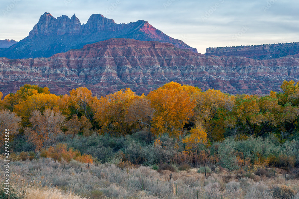 Zion National Park