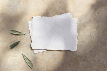 Summer wedding stationery mock-up scene. Blank cotton paper greeting cards, invitations with olive leaves. Elegant marble background in sunlight, shadows overlay. Flat lay, top view.