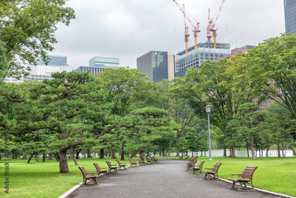 Naklejka premium park in the city