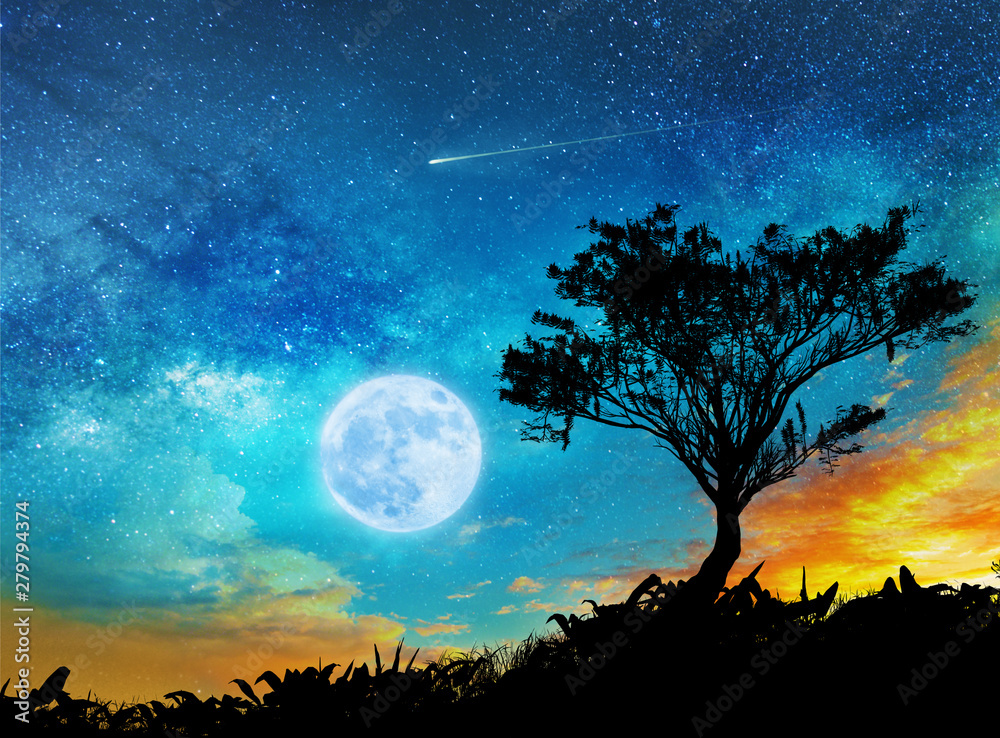 a magic night lanscape with starry sky a magic night lanscape with starry sky