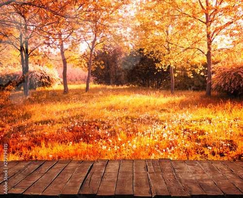 Old wooden table with autumn orange leaves  autumn background