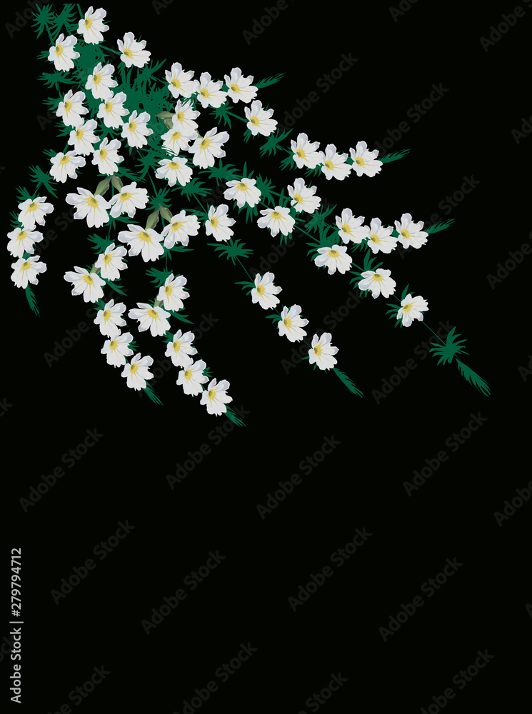 small flowers bush isolated on black background