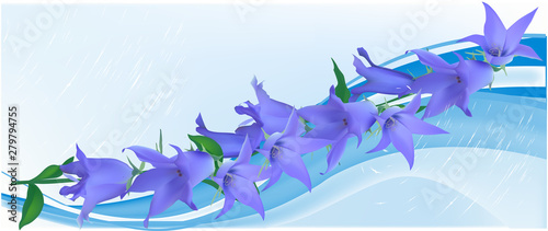 bluebell flowers decoration on blue background