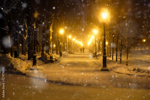 Footpath in a fabulous winter city park © Nickolay Khoroshkov