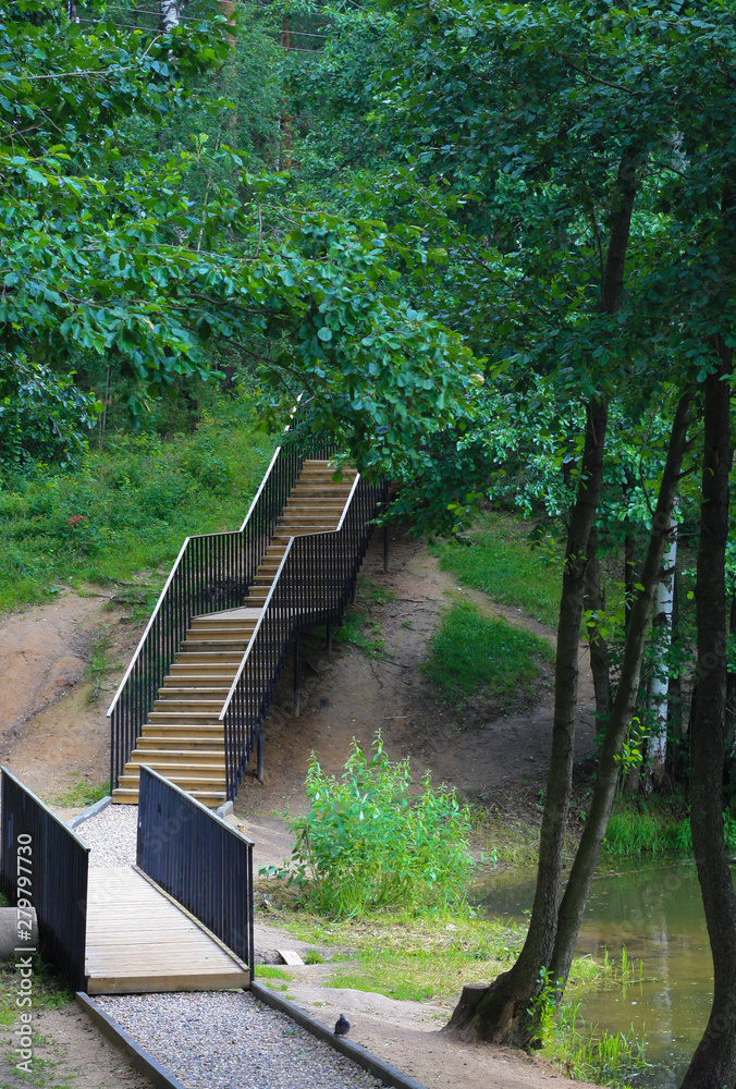 Stairs in the summer park on the shore of the pond Stairs in the summer park on the shore of the pond