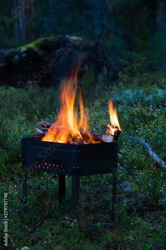 Burning firewood in the barbecue. Bonfire at night in the forest. Cooking coals for frying. Adventure and family camping. Fire, flame in the brazier in the dark