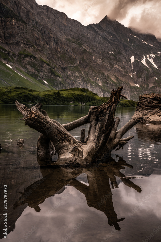 Baumstrunk im Bergsee Baumstrunk im Bergsee