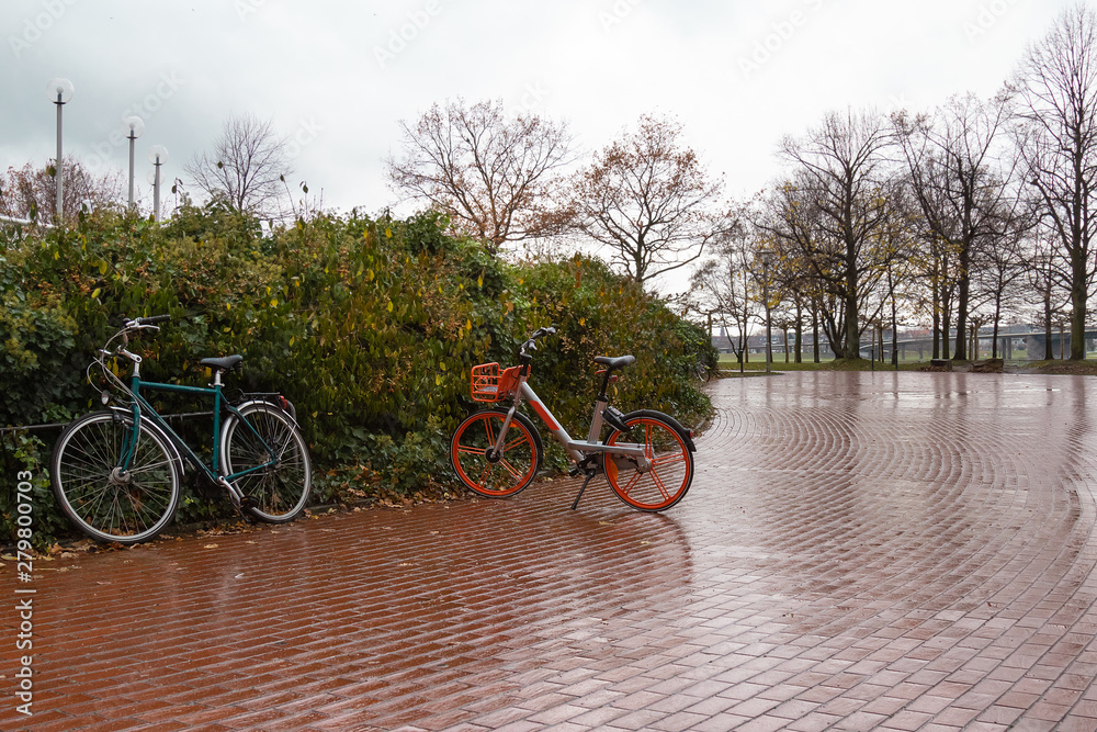 bicycles in  autumn park without people in  rain on  background of green bushes