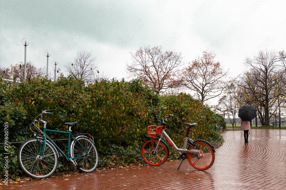 bicycles in  autumn park without people on  rainy day on  background of  bushes and  girl with  umbrella