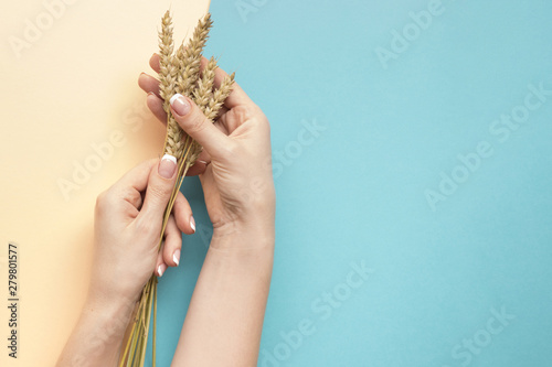 Woman hands holding weat with copy space photo