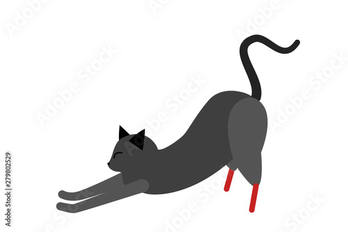 The cat is disabled with sore hind legs. A cat with red dentures instead of hind legs. The cat enjoys life and sips.