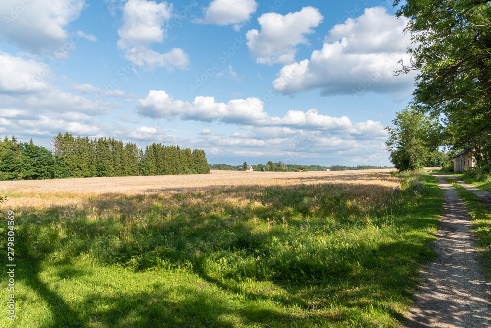 Fototapeta premium landscape with blue sky