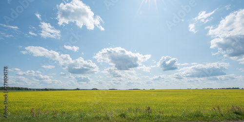 field and blue sky with clouds