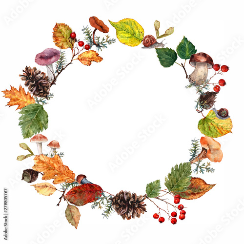 Fototapeta Naklejka Na Ścianę i Meble -  Frame of leaves, berries, mushrooms and twigs arranged in a circle on the autumn theme. Watercolor on white background.