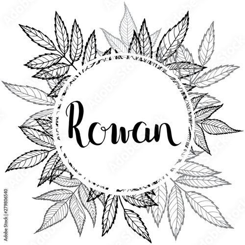 Rowan leaves. Vector floral frame with space for text.