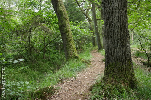 Moorlandschaft bei Gronau Venn