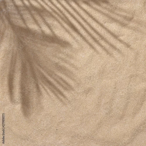 Obraz Summer beach day scene with tropical palms shadow on sand background. Minimal sunlight tropical flat lay arrangement.