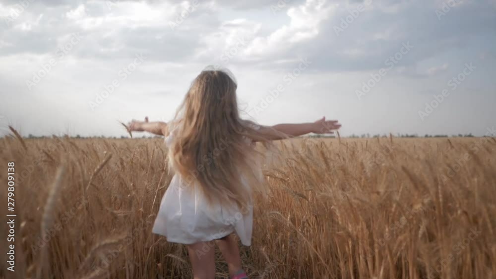 little girl with long beautiful hair runs across ripe grain field with golden spikelets of wheat in autumn harvest season against a blue sky little girl with long beautiful hair runs across ripe grain field with golden spikelets of wheat in autumn harvest season against a blue sky