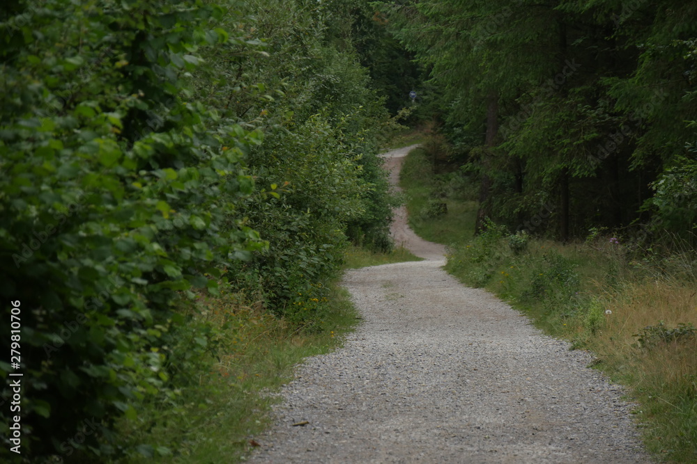 Wanderer auf dem Hermannsweg im Teutoburger Wald Wanderer auf dem Hermannsweg im Teutoburger Wald