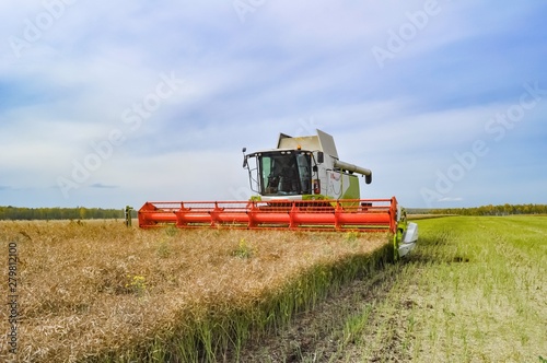 combine harvester working on field