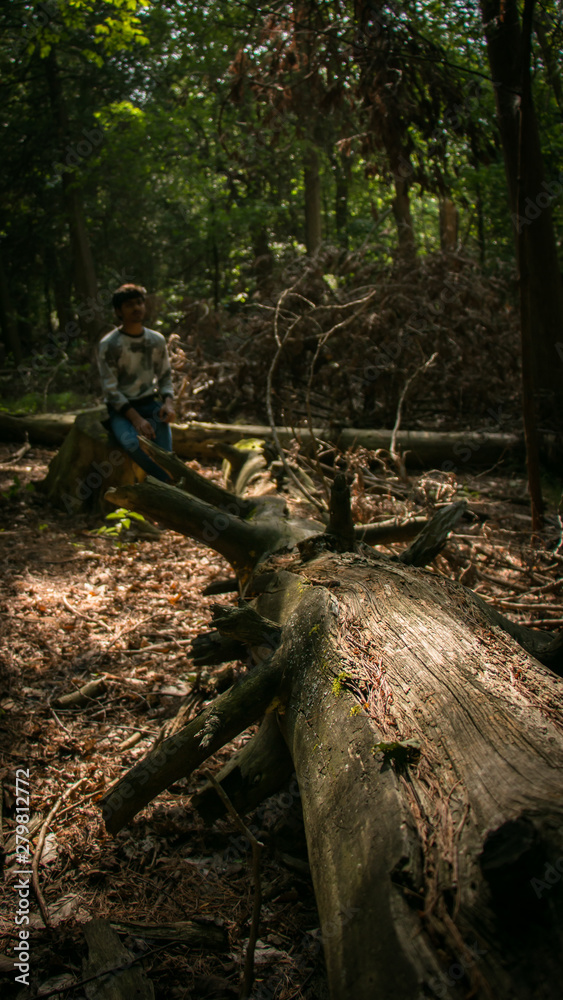 Fototapeta premium person is sitting on the dead tree.