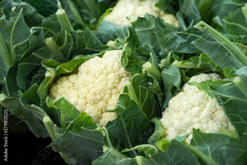 Photos Fresh cauliflower heads with leaves at farmers market.