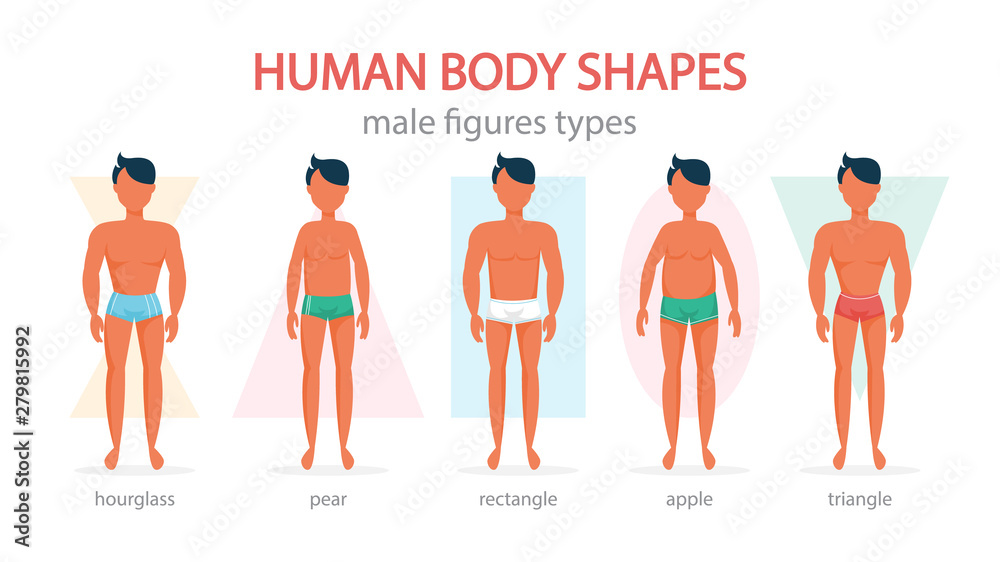 Male body shapes set. Triangle and rectangle, pear and apple Stock Vector |  Adobe Stock