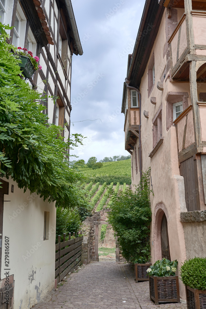 Fototapeta premium Colmar . French Alsace
