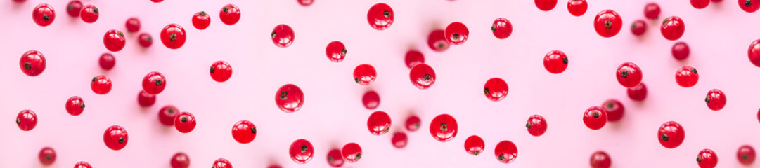 Red currant berries are falling on a pink background.  Healthy eating concept.
