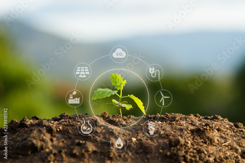 Fototapeta Seedling with bubble of eco icon with green nature background