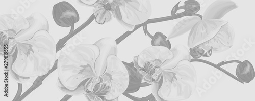 Background with  Orchids flowers. Vector illustration, EPS 10
