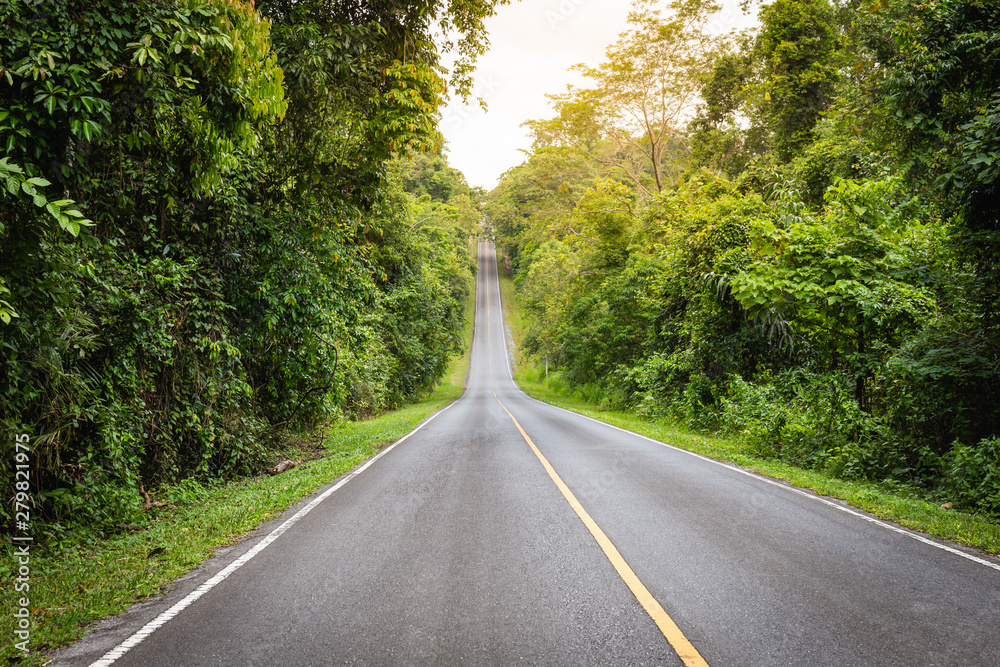 Forest road at dense trees on both sides in Khaoyai National Park (The World Heritage of nature) Thailand Forest road at dense trees on both sides in Khaoyai National Park (The World Heritage of nature) Thailand