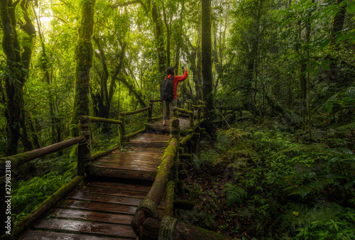Asian women take pictures of Beautiful rain forest at ang ka nature trail in doi inthanon national park, Thailand