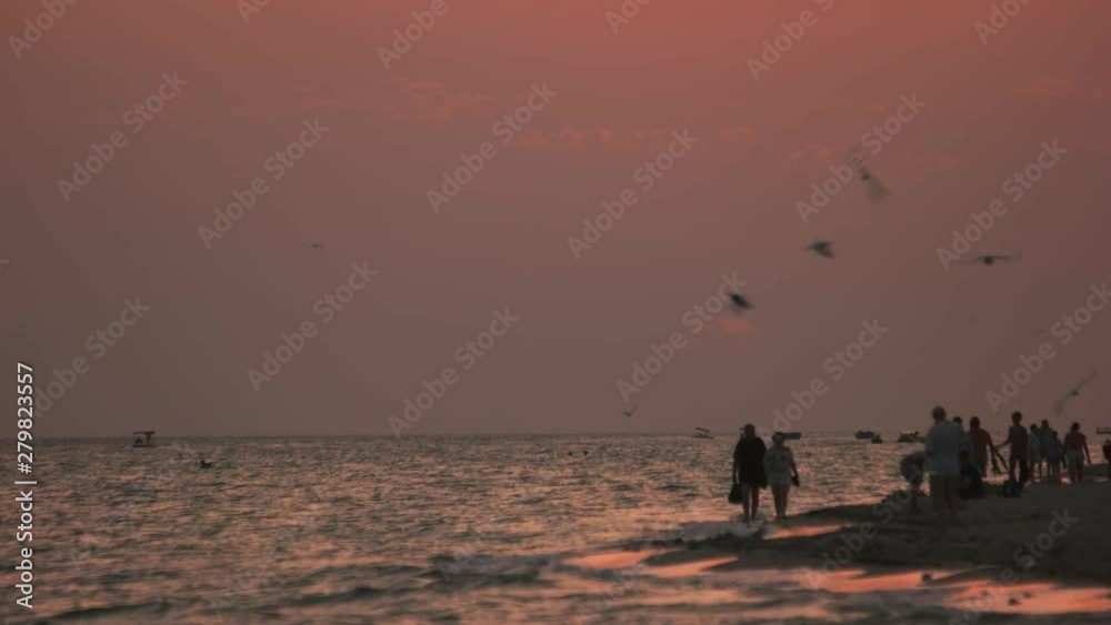 People walking on beach at sunset. Birds flying over sea waves in the evening. Scenic sunset at resort. People walking on beach at sunset. Birds flying over sea waves in the evening. Scenic sunset at resort.