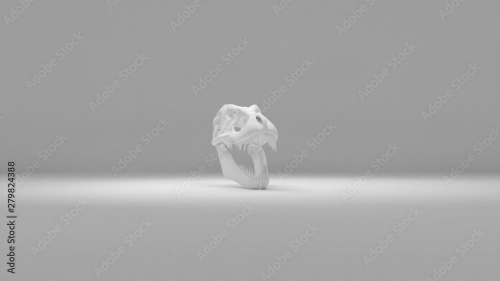 Rotating CGI White T-Rex Skull