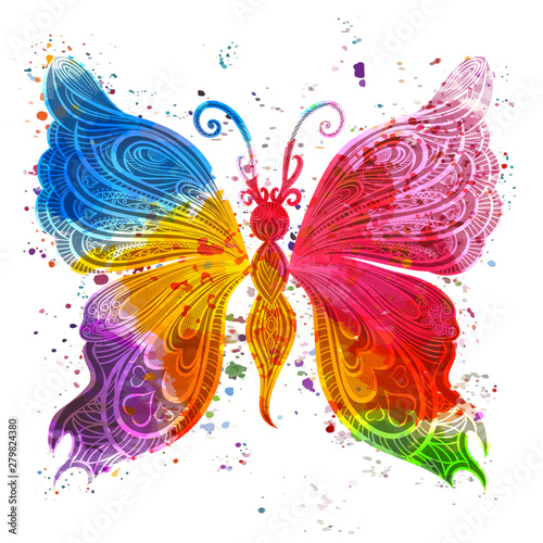 Colorful butterfly. isolated on white. Vector illustration.