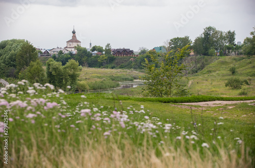 Bright green meadow in daylight in countryside with flowers and gloomy sky