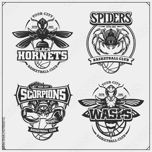 Basketball badges, labels and design elements. Sport club emblems with scorpion, wasp, hornet and spider. Print design for t-shirts.