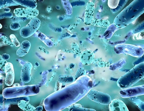 Bifidobacterium, bacterial strain3d illustration. photo